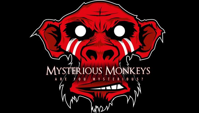 Mysterious Monkeys